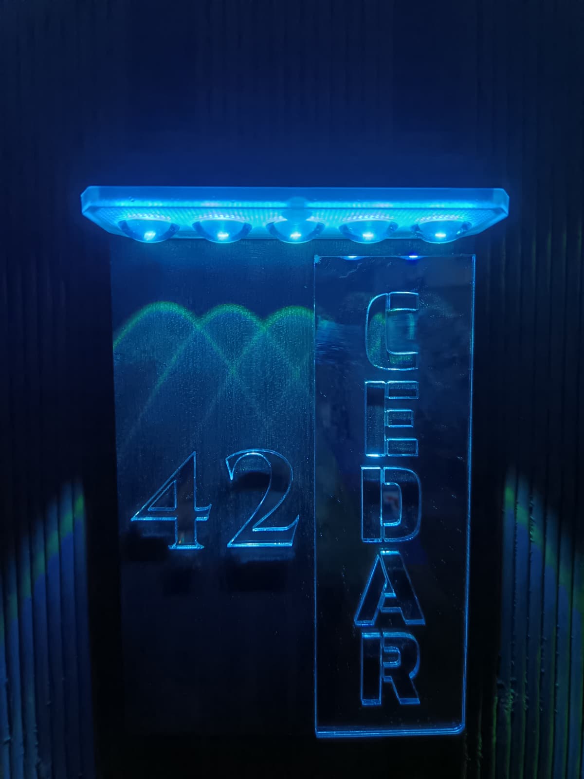 A glowing blue LED house sign displaying '42' and 'CEDAR' vertically, mounted on a dark textured door.Lumora Craft Studio, lumorastudio.ie